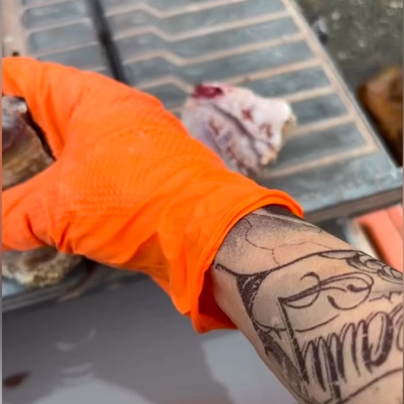 Meet your Posher, Bedrock Barbie - Picture 2 of 13